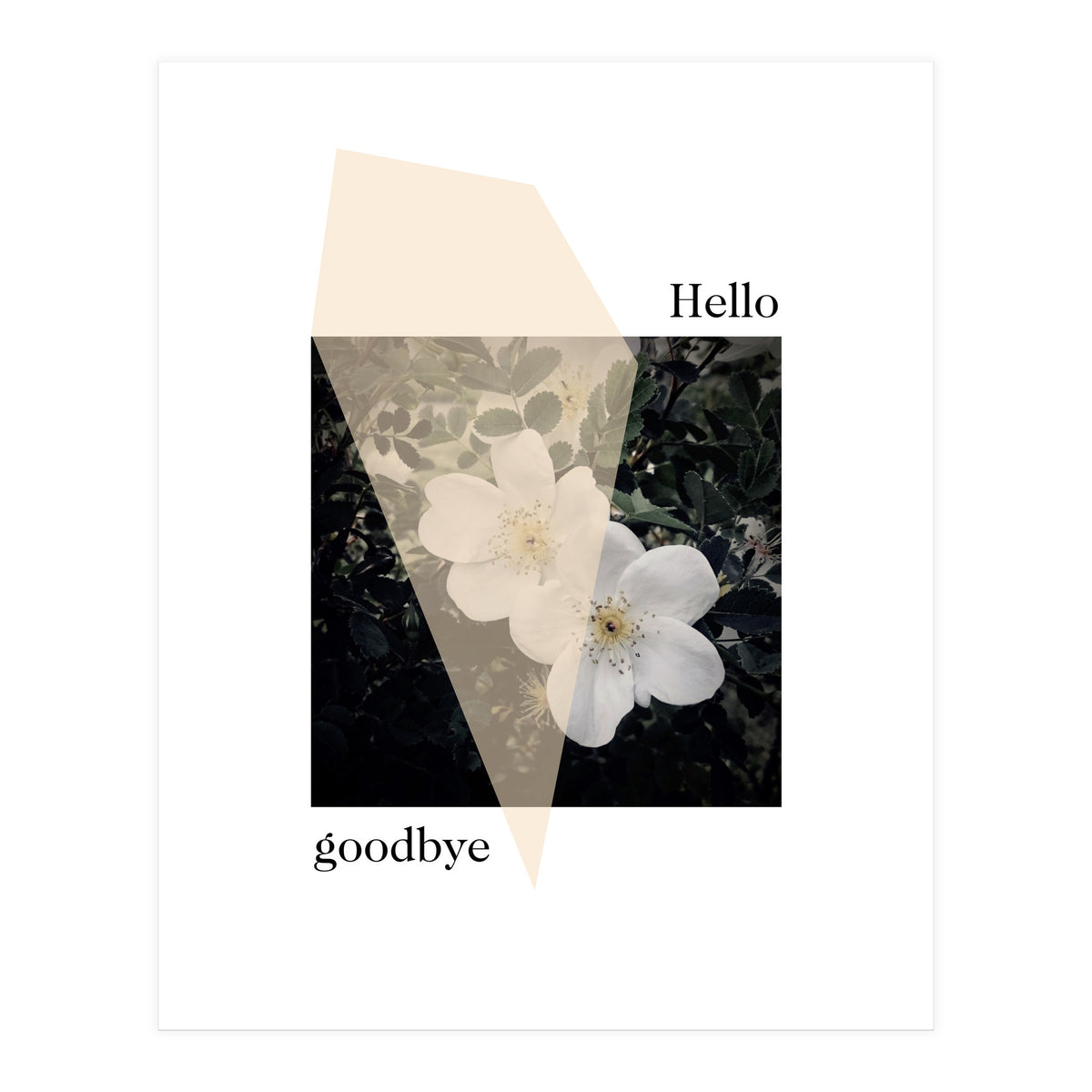 Hello goodbye (Print Only)