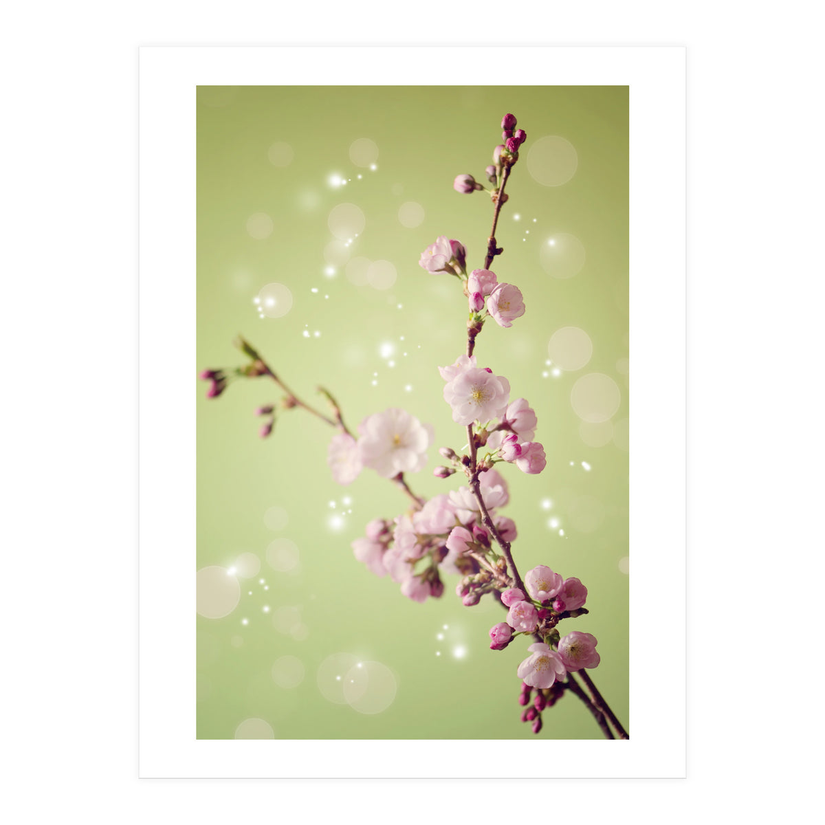 Springtime (Print Only)