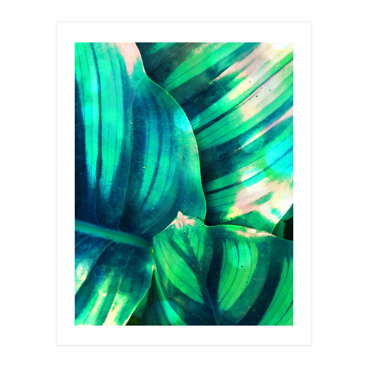 Moksha (Print Only)