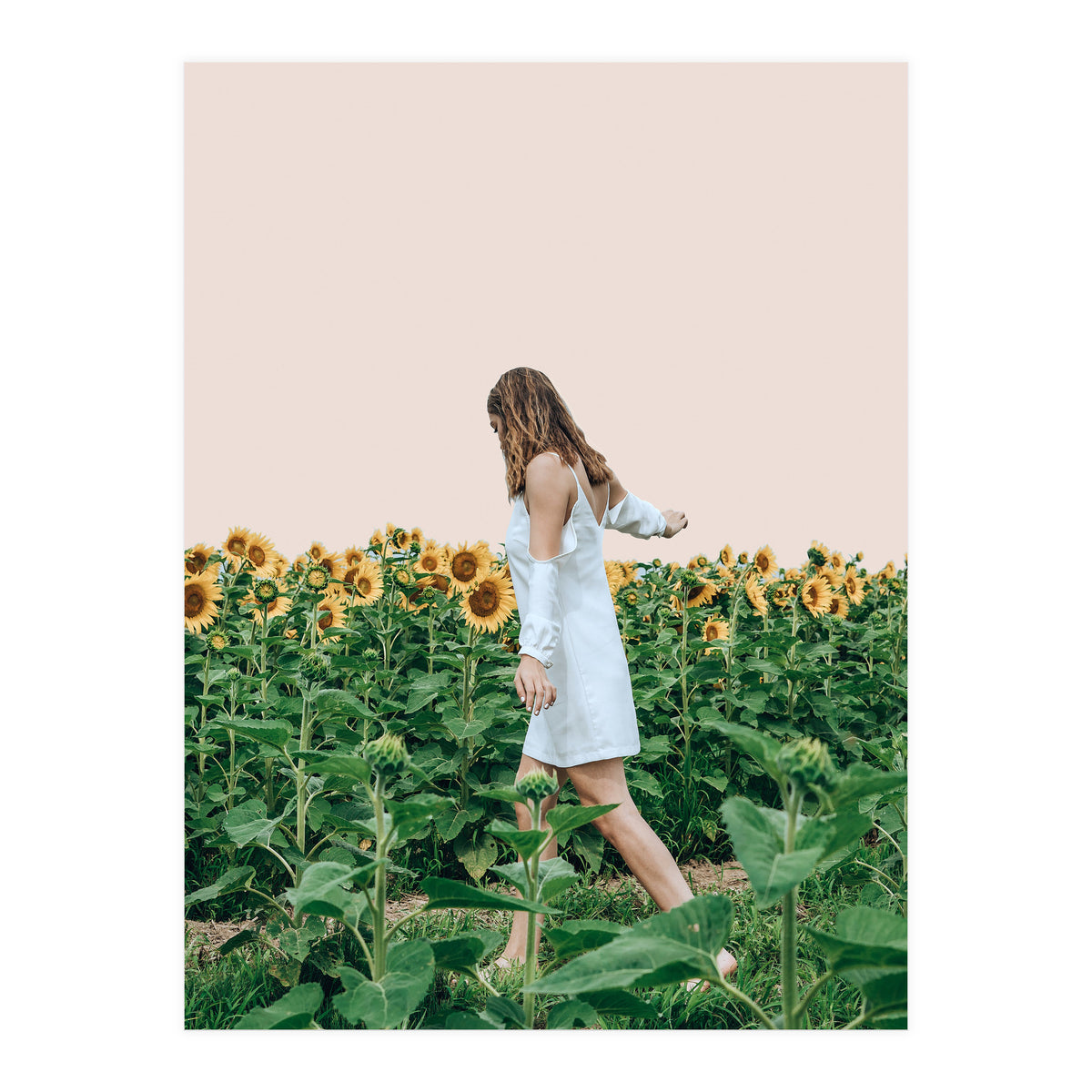 Lost In Sunflowers (Print Only)
