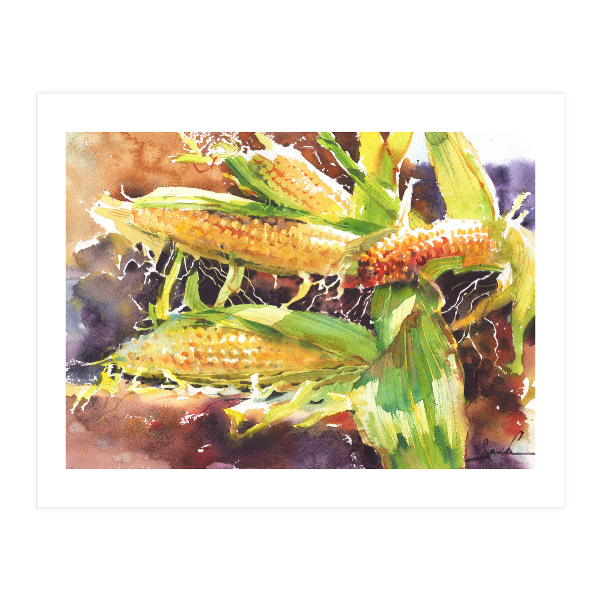 Corn watercolor (Print Only)