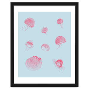 Jellyfish by 83 Oranges