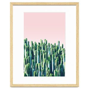 Cactus & Sunset I by ''CVogiatzi.