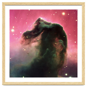 The Horsehead Nebula by European Southern Observatory