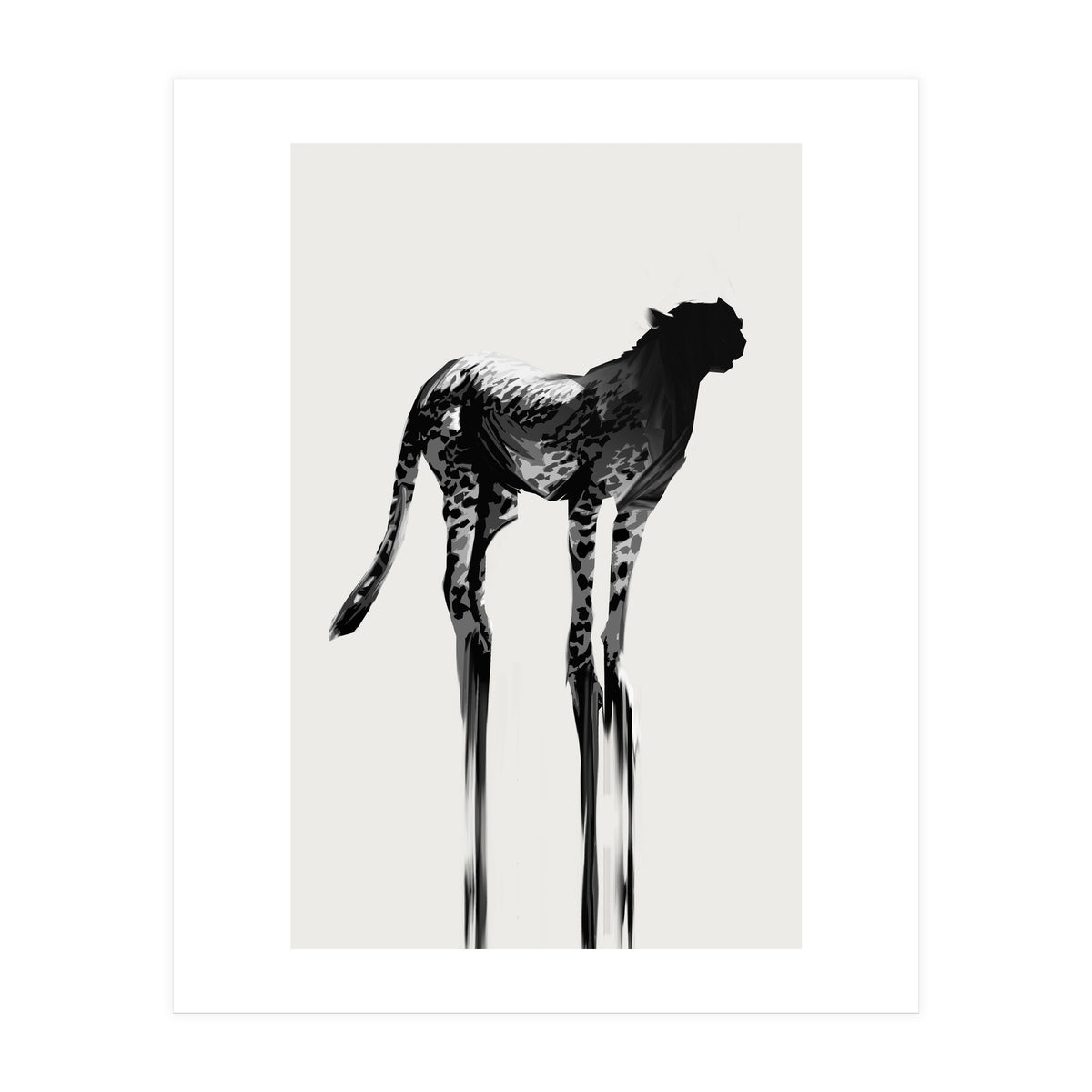 Cheetah (Print Only)