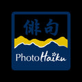PhotoHaiku portrait
