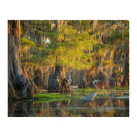Heron in the swamps (Print Only)