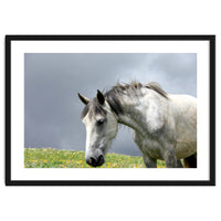 White Horse