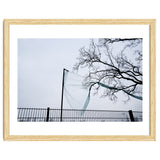 Net caught in a tree thumbnail
