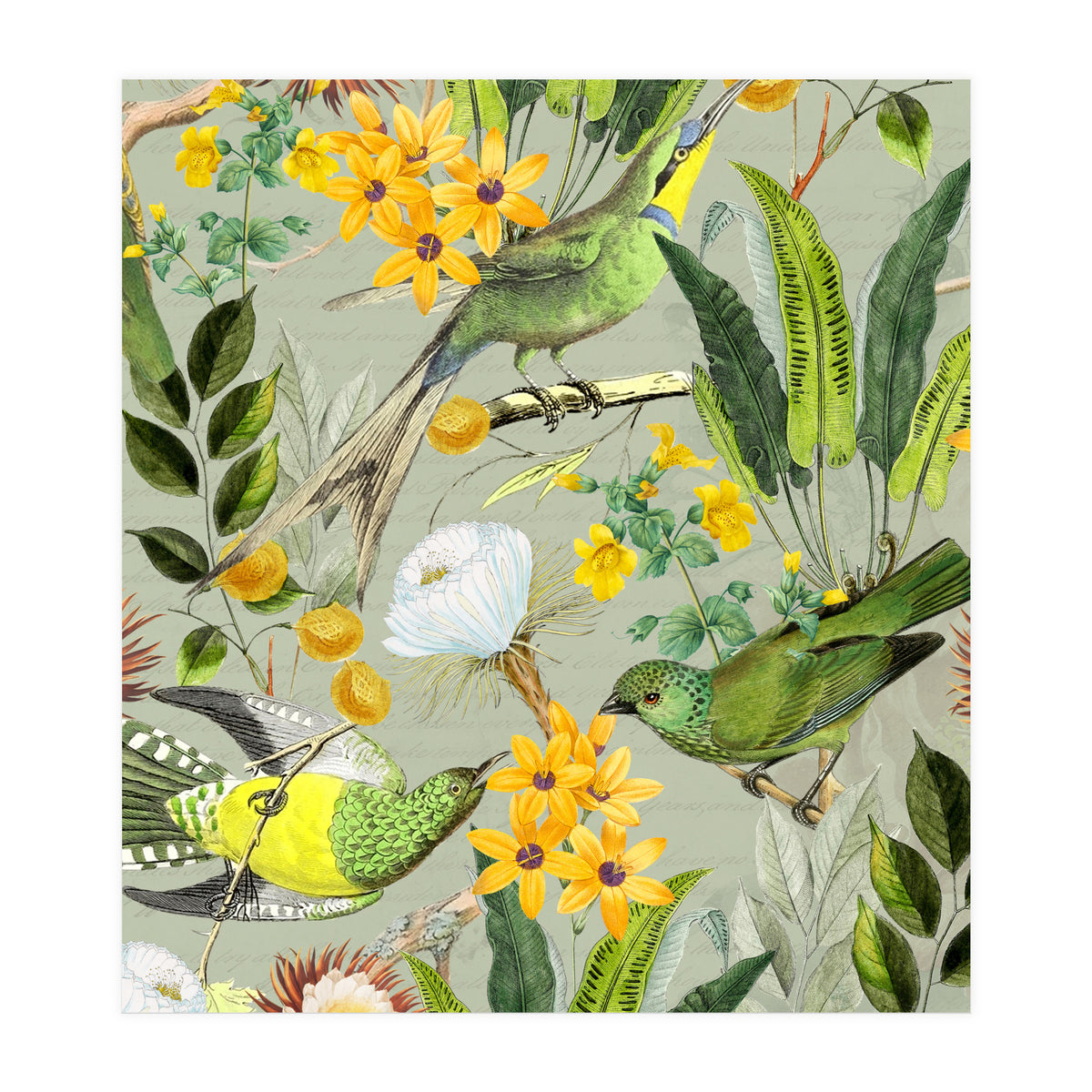 Tropical Birds in Exotic Jungle (Print Only)