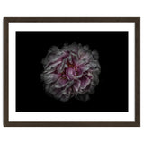 Backyard Flowers No 118 Color Version thumbnail