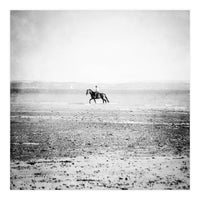 Sea Horse (Print Only)