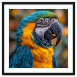 Blue And Yellow Macaw Parrot Close Up Portrait thumbnail