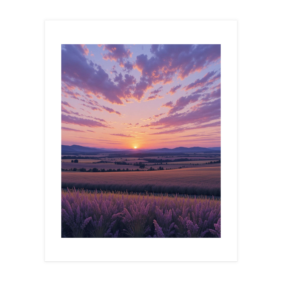 Serene Lavender Fields at Golden Hour Sunset (Print Only)