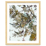 Patterns In Nature thumbnail