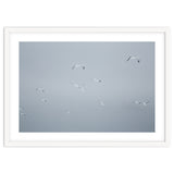 Flying seagulls in the winter sky thumbnail