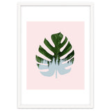 Monstera thumbnail