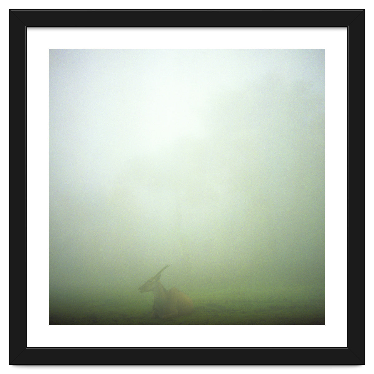 Silence of breath - 06