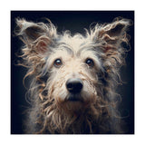 Old Dog 07 (Print Only) thumbnail
