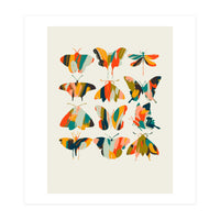 Colorful Butterflies (Print Only)