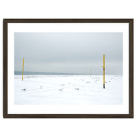 Seagulls in between the volleyball poles in winter snow beach
