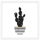 Black Cactus thumbnail