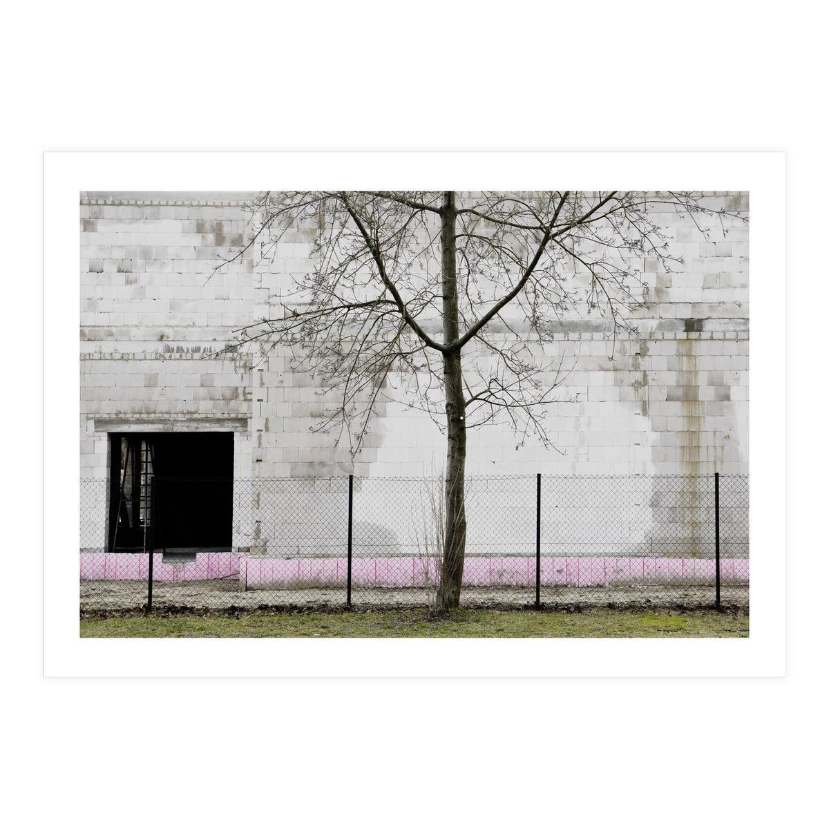 A tree in front of the wall (Print Only)