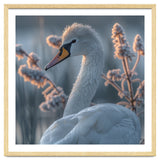 Swan Portrait Dew Drops Morning Light thumbnail