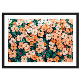 Floral Bliss, Nature Photography Garden Meadow, Blush Orange Coral Summer Flowers Botanical thumbnail