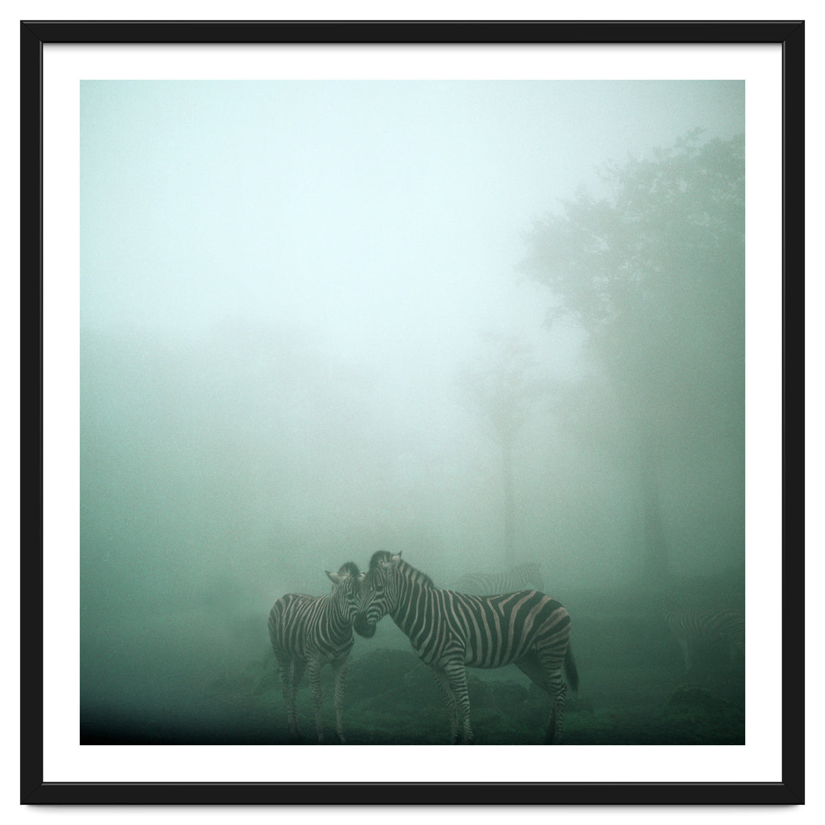 Silence of breath - 11