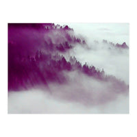 Forest Fog (Print Only)
