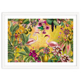 Flamingo Island thumbnail