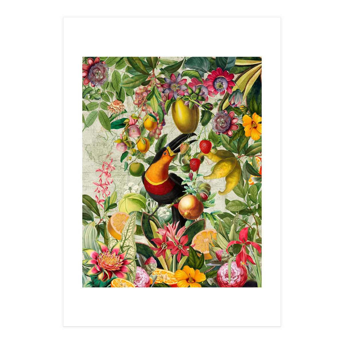 Toucan vintage jungle 1 (Print Only)