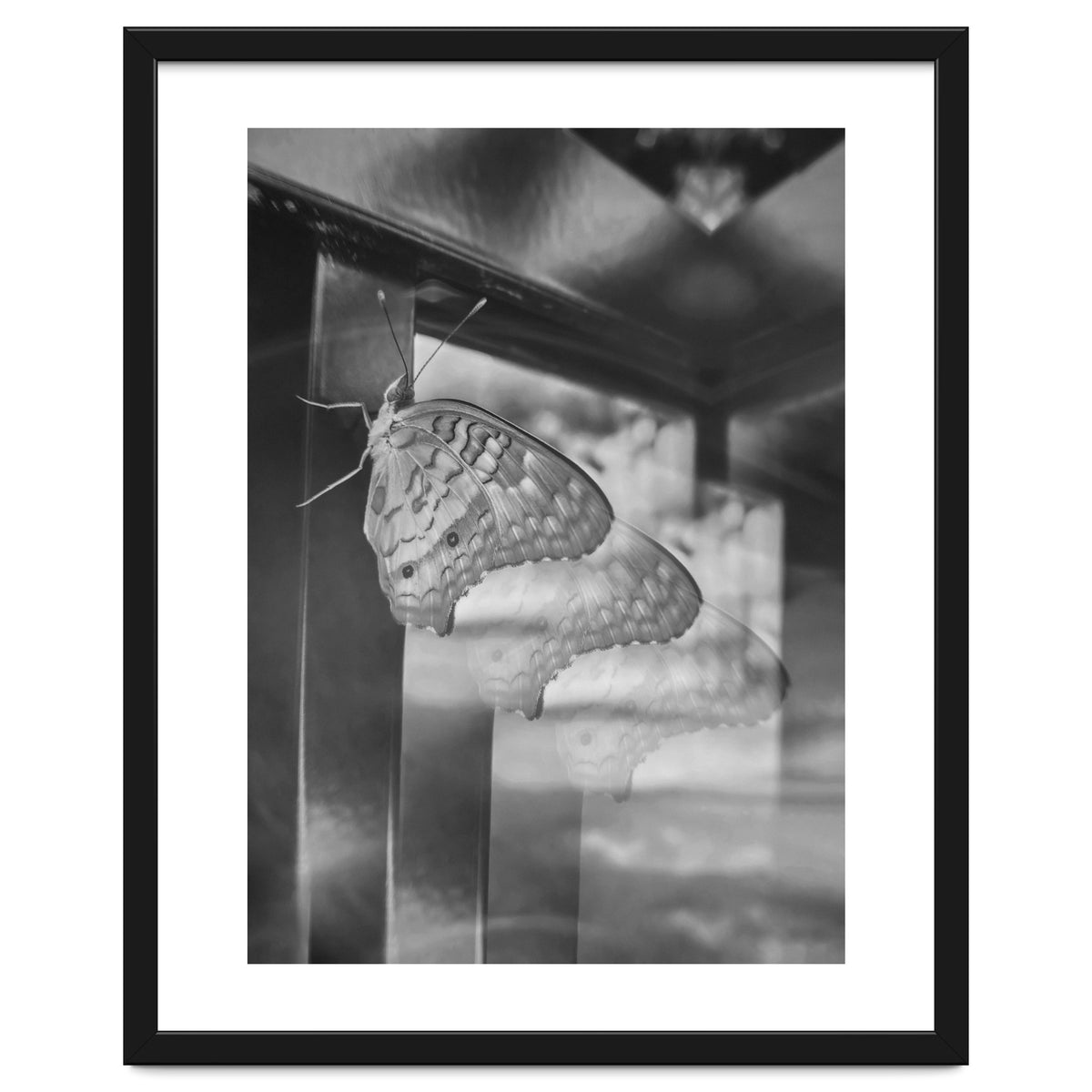 Evolving | Black & White