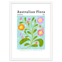 Australian Flora: Straw Flower
