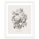 Currier & Ives – Rose of May (1870) thumbnail
