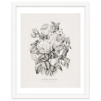 Currier & Ives – Rose of May (1870)