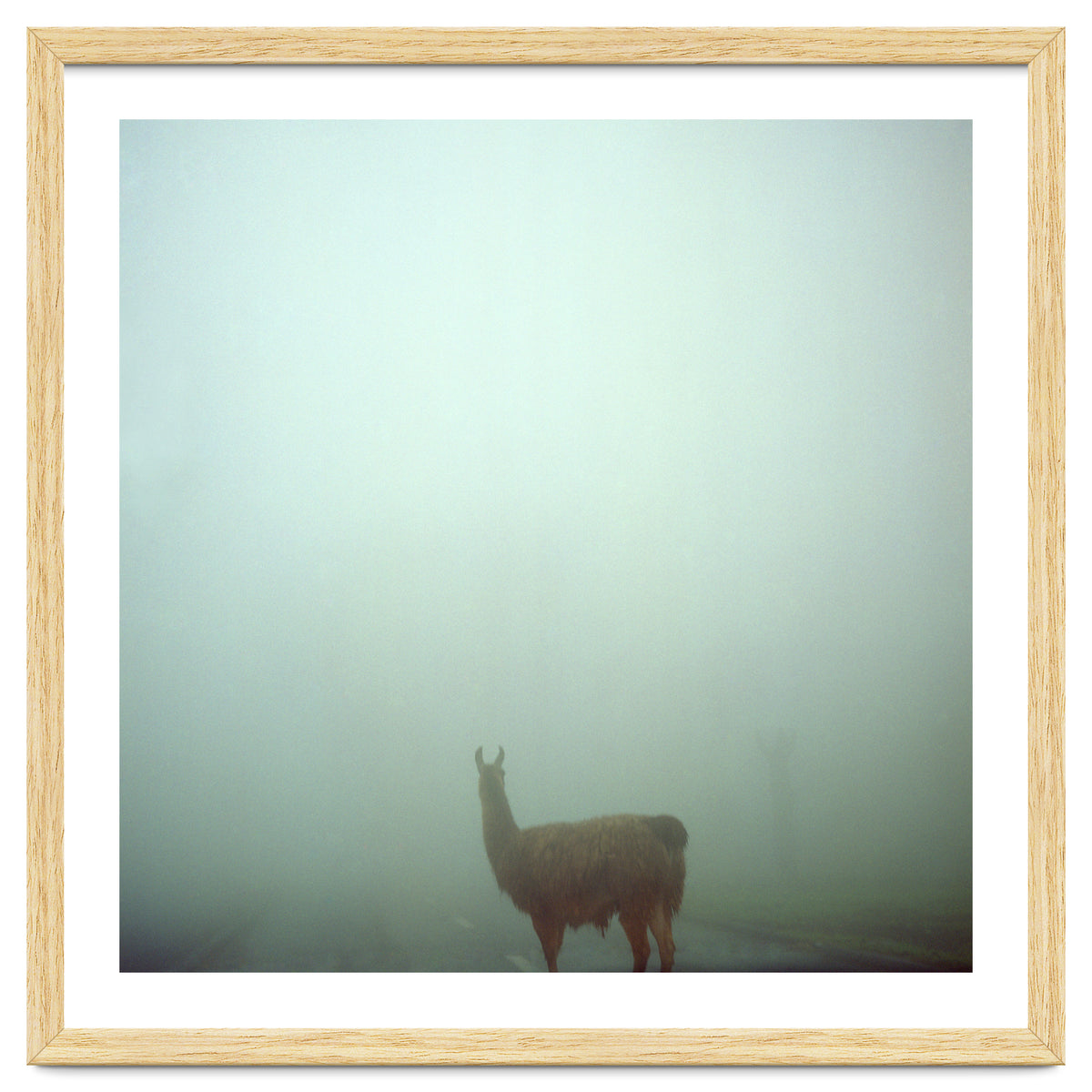 Silence of breath - 04