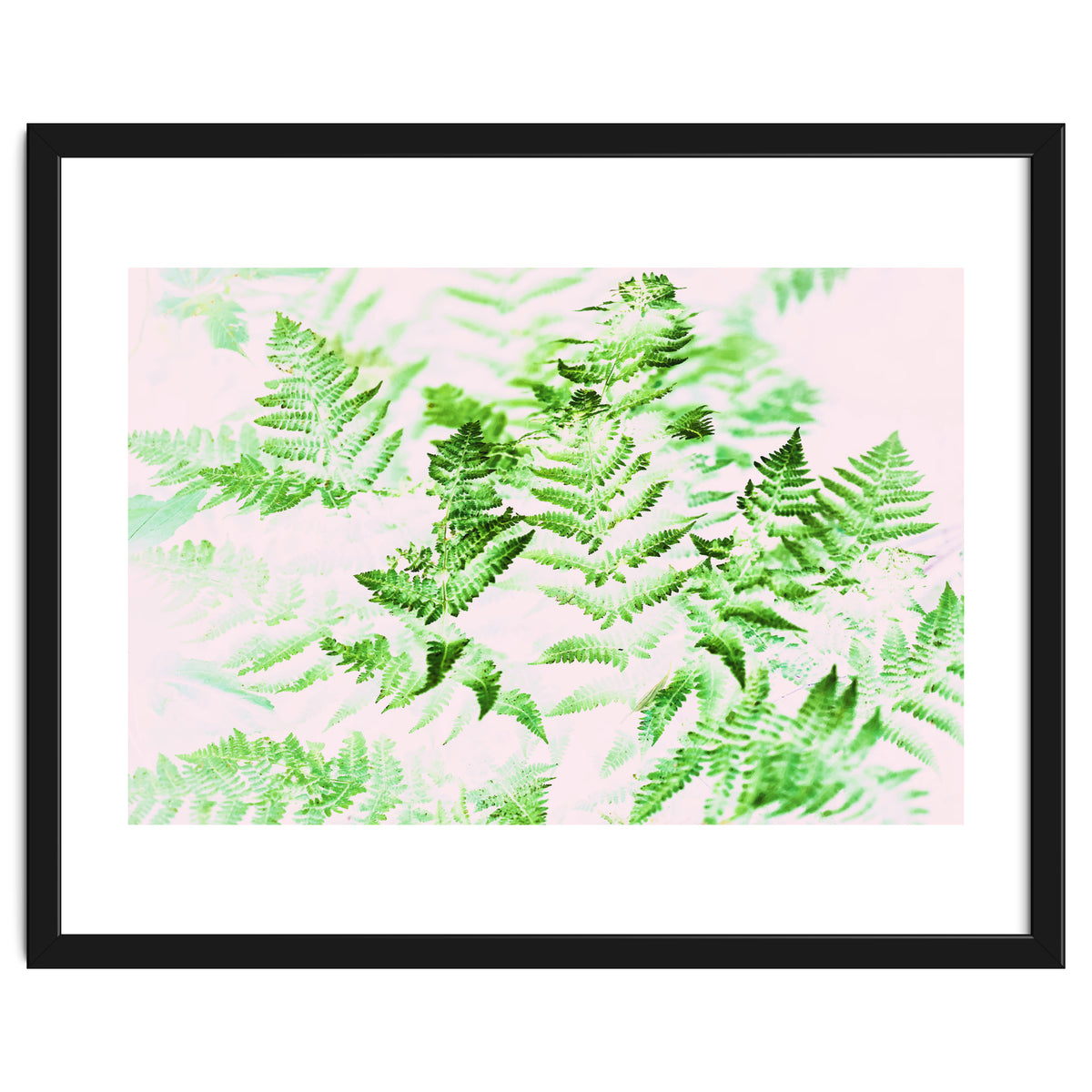 Fern Forest #society6 #decor #buyart