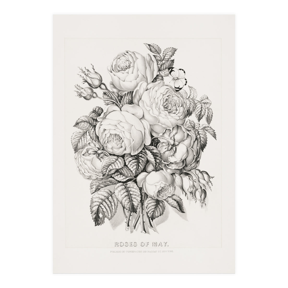 Currier & Ives – Rose of May (1870) (Print Only)