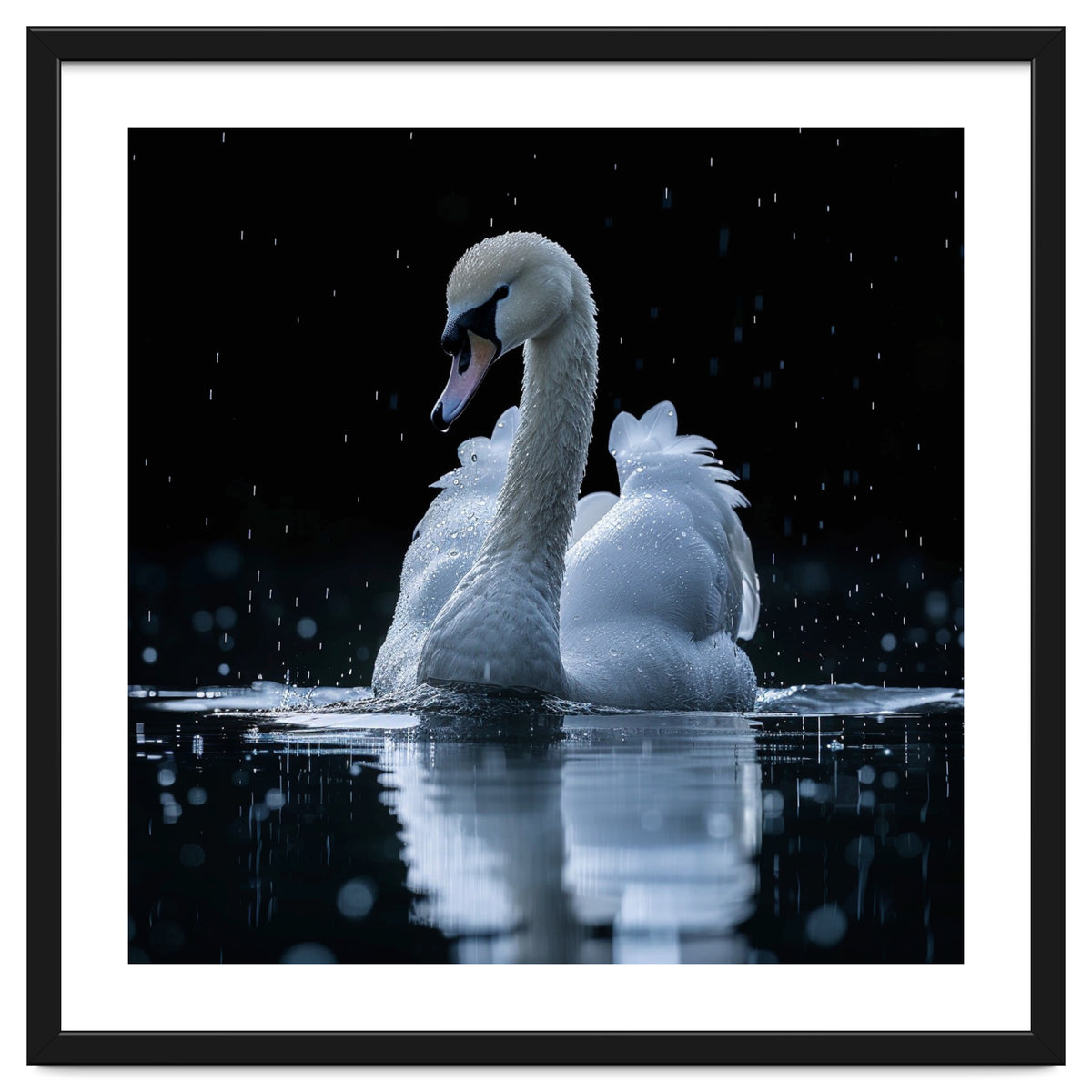 Majestic Swan Swimming In Dark Water