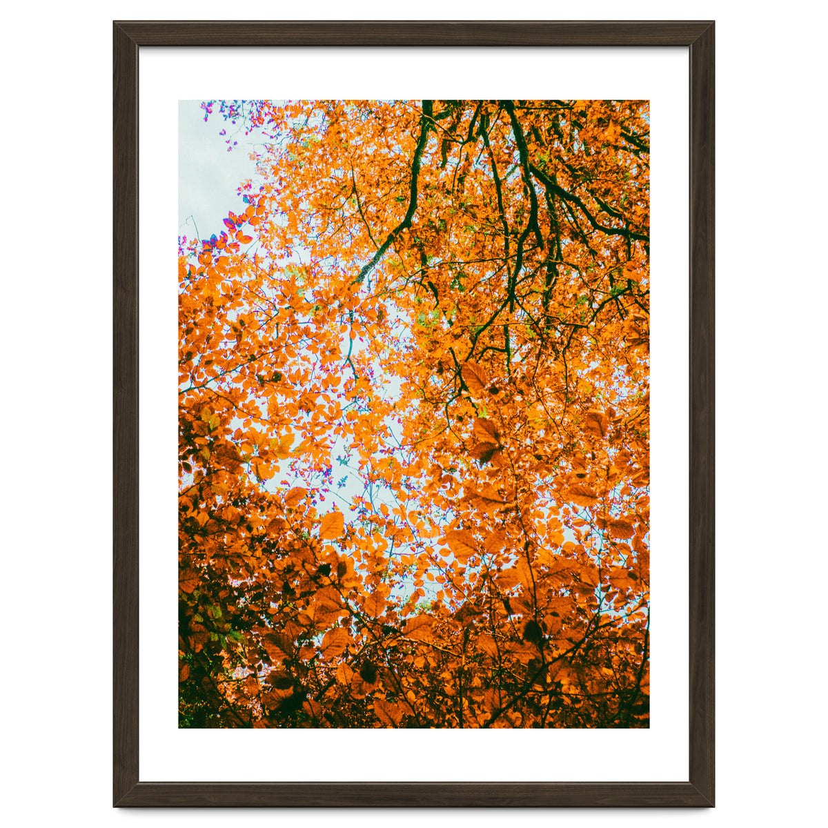 Autumn Leaves