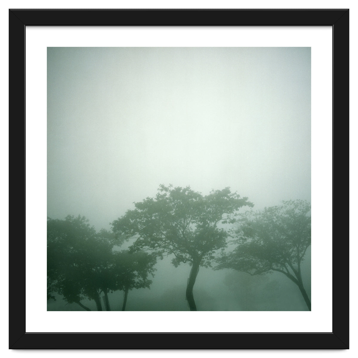 Silence of breath - 17