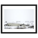 Blackbirds surrounding a frozen pond in winter thumbnail