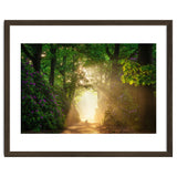 Hare in paradise thumbnail