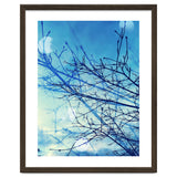 Winter thumbnail