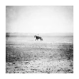 Sea Horse (Print Only) thumbnail