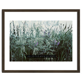 Photography - Summer Garden thumbnail