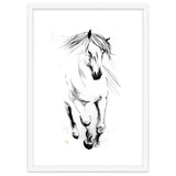 Runninh Ghorse In Water thumbnail