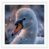 Close Up Frosty Swan Head During Golden Hour thumbnail